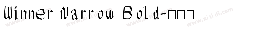 Winner Narrow Bold字体转换